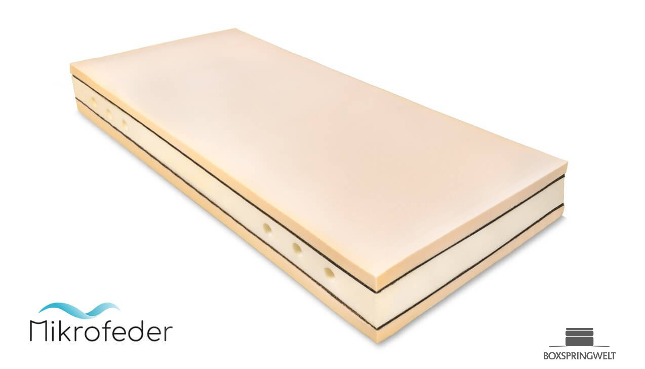 Matratze mit Mikro-Federkern, Rosshaar & ergonomischen Lochbohrungen im Schaumrand